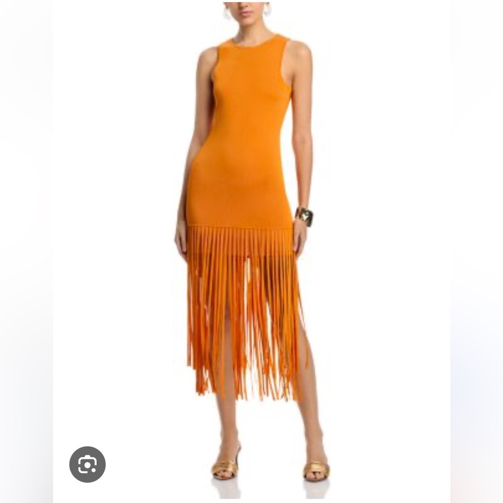 Toccin Margaux Sleeveless Fringe Dress Mango